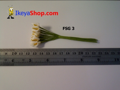 FSG 3  large2